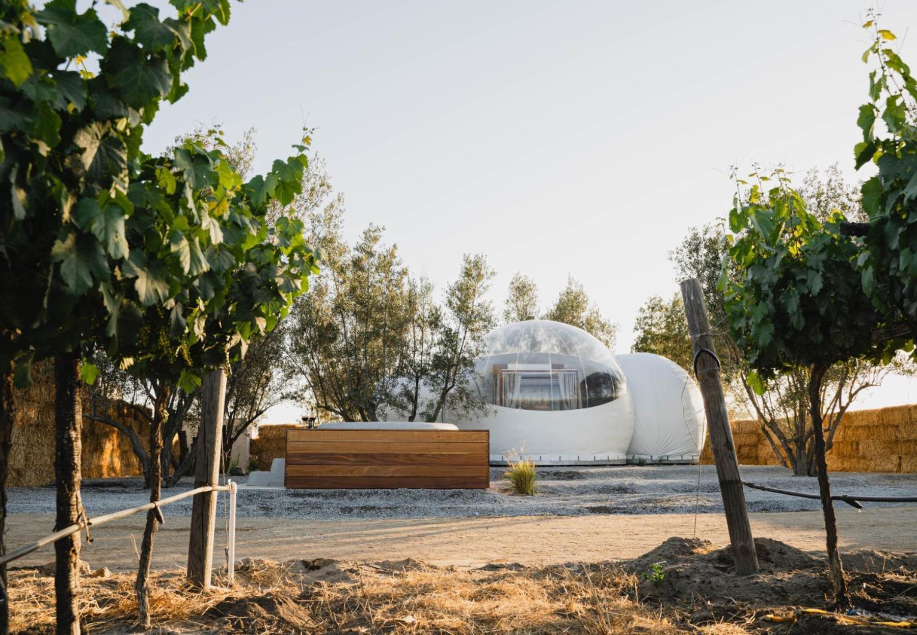 Campera Valle De Guadalupe Енсенада Екстериор снимка