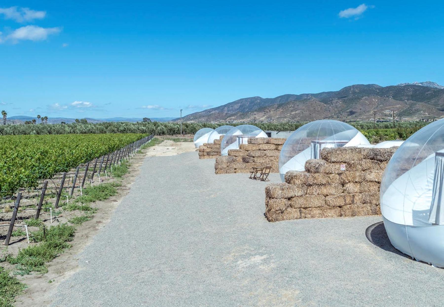 Campera Valle De Guadalupe Енсенада Екстериор снимка